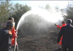 Çamlık alanında yangın